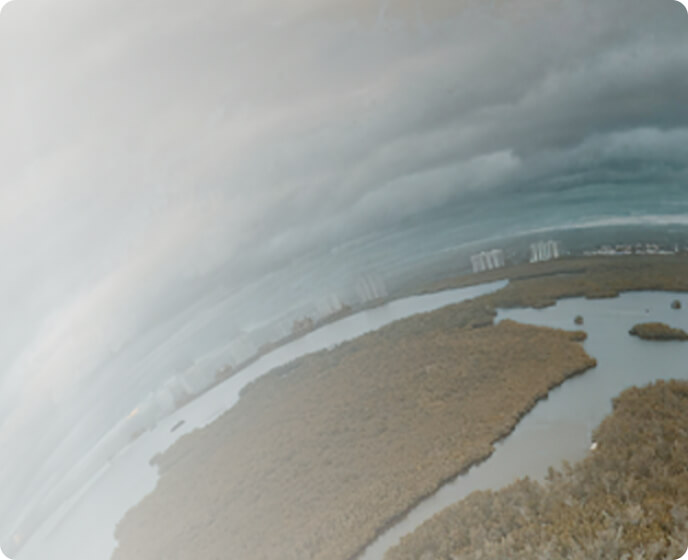 sami attia life coach