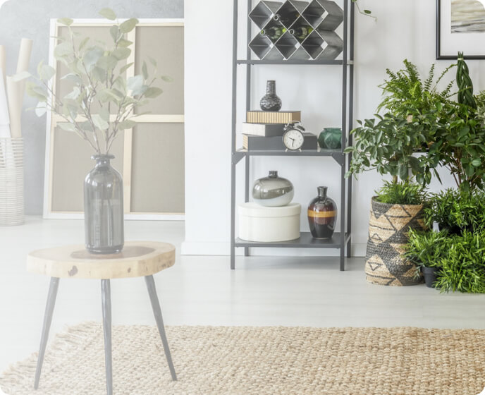 sami attia life coach