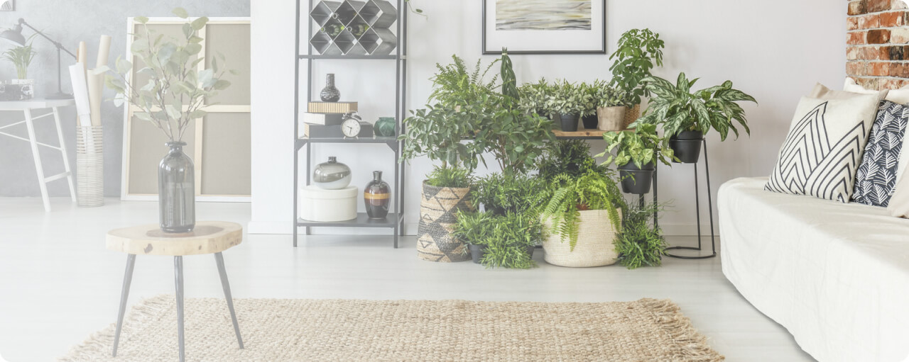 sami attia life coach